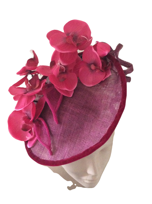 Orchid Fever